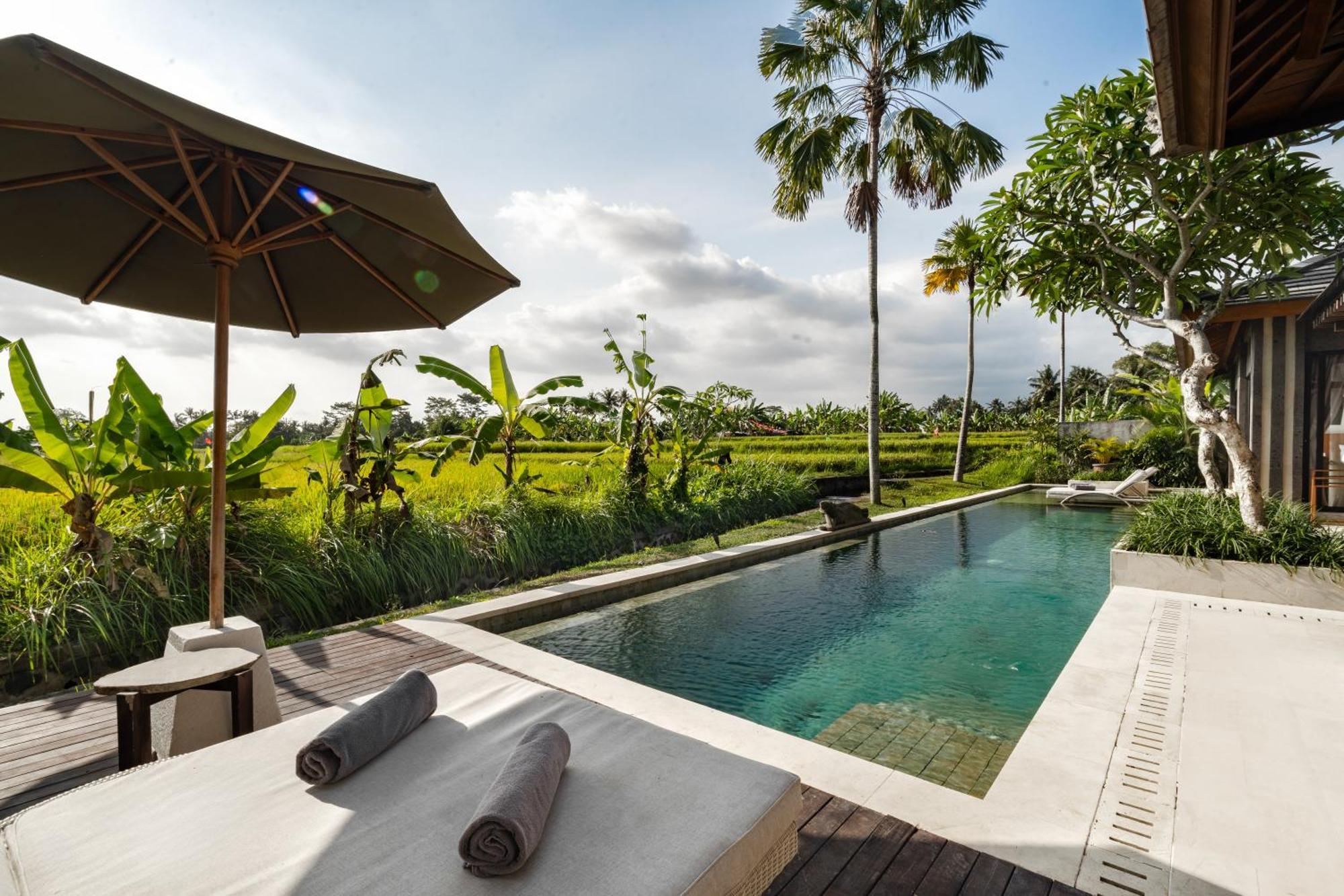 Villa Mimpi By Balisuperhost Ubud Zewnętrze zdjęcie