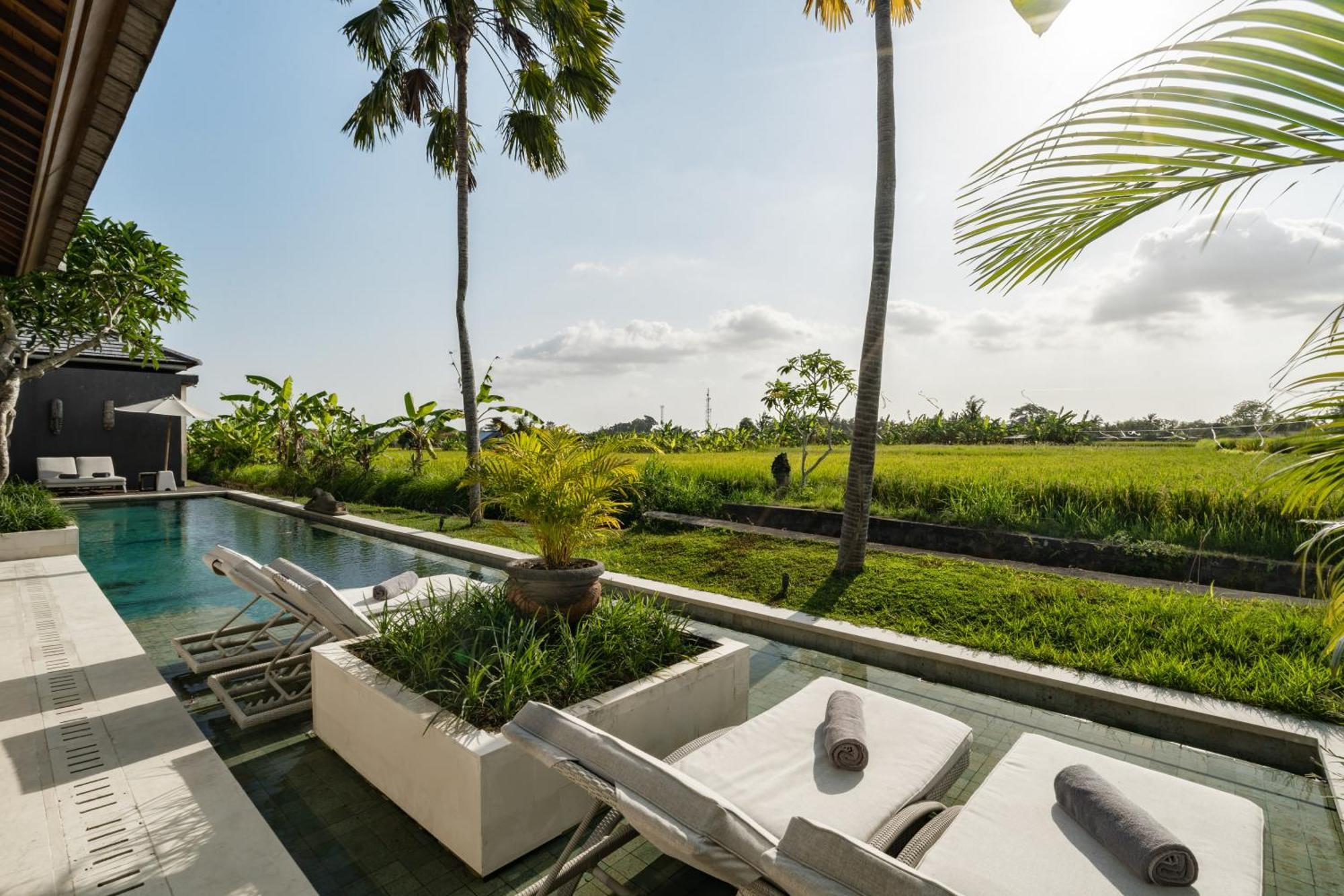 Villa Mimpi By Balisuperhost Ubud Zewnętrze zdjęcie